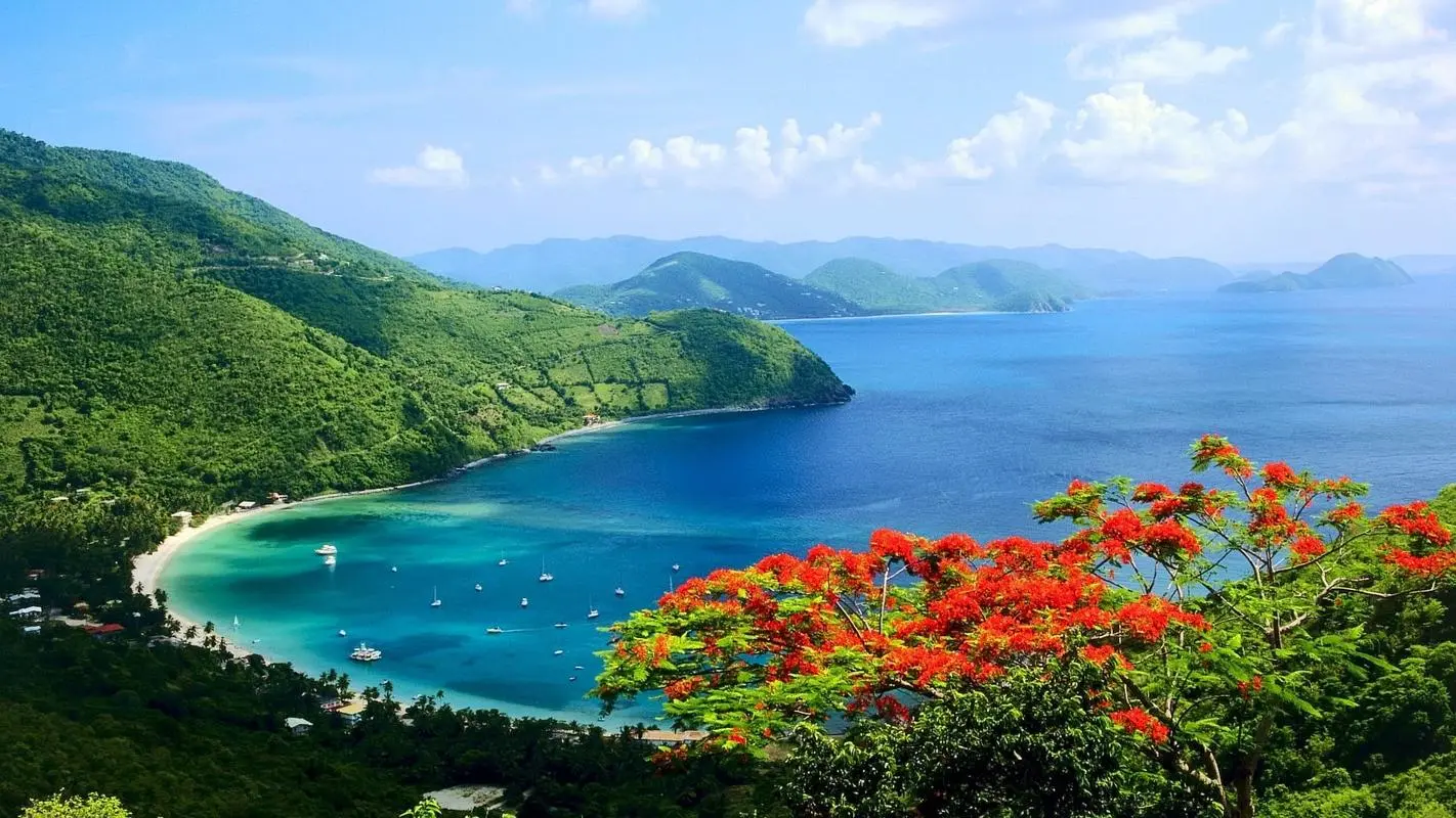 高效全自动高端